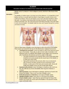 Bladder Cancer