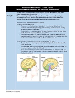 Brain PDF