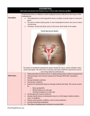 Endometrial Cancer